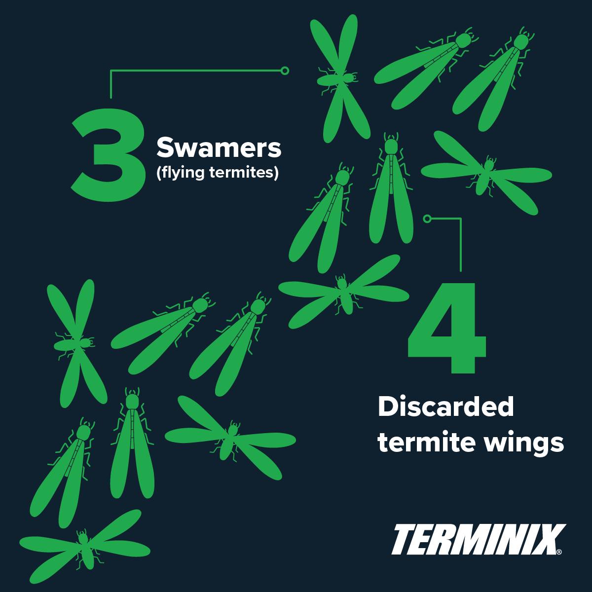 Terminix