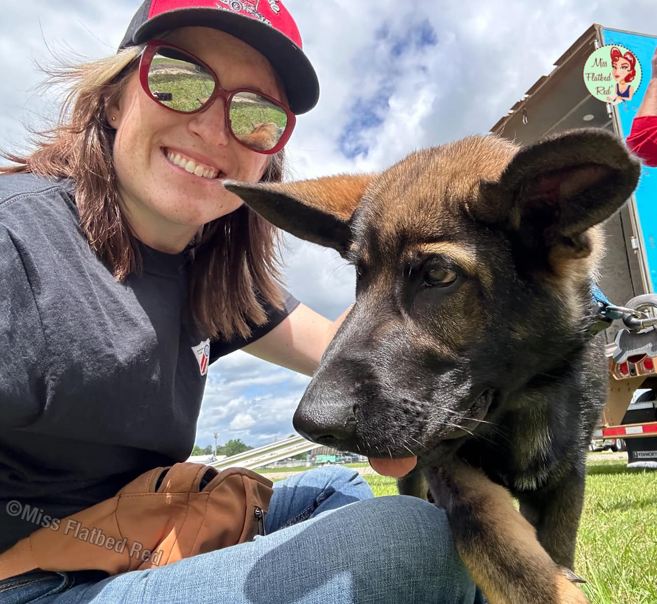 Miss - Adorable puppy for attention. It’s really a shame today’s ...