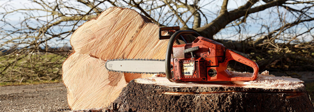 Basic Chainsaw Safety 🪚 - for Landscapers (In-person Training Course)