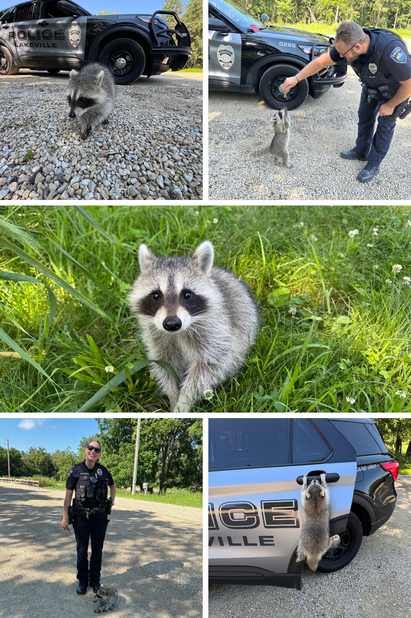 Meet Gerald... - City of Lakeville, MN - Police Department | Facebook