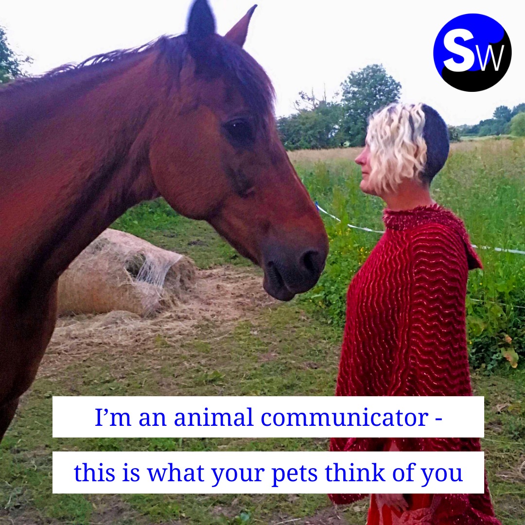 We spoke to an animal communicator... - Bognor Regis Observer | Facebook