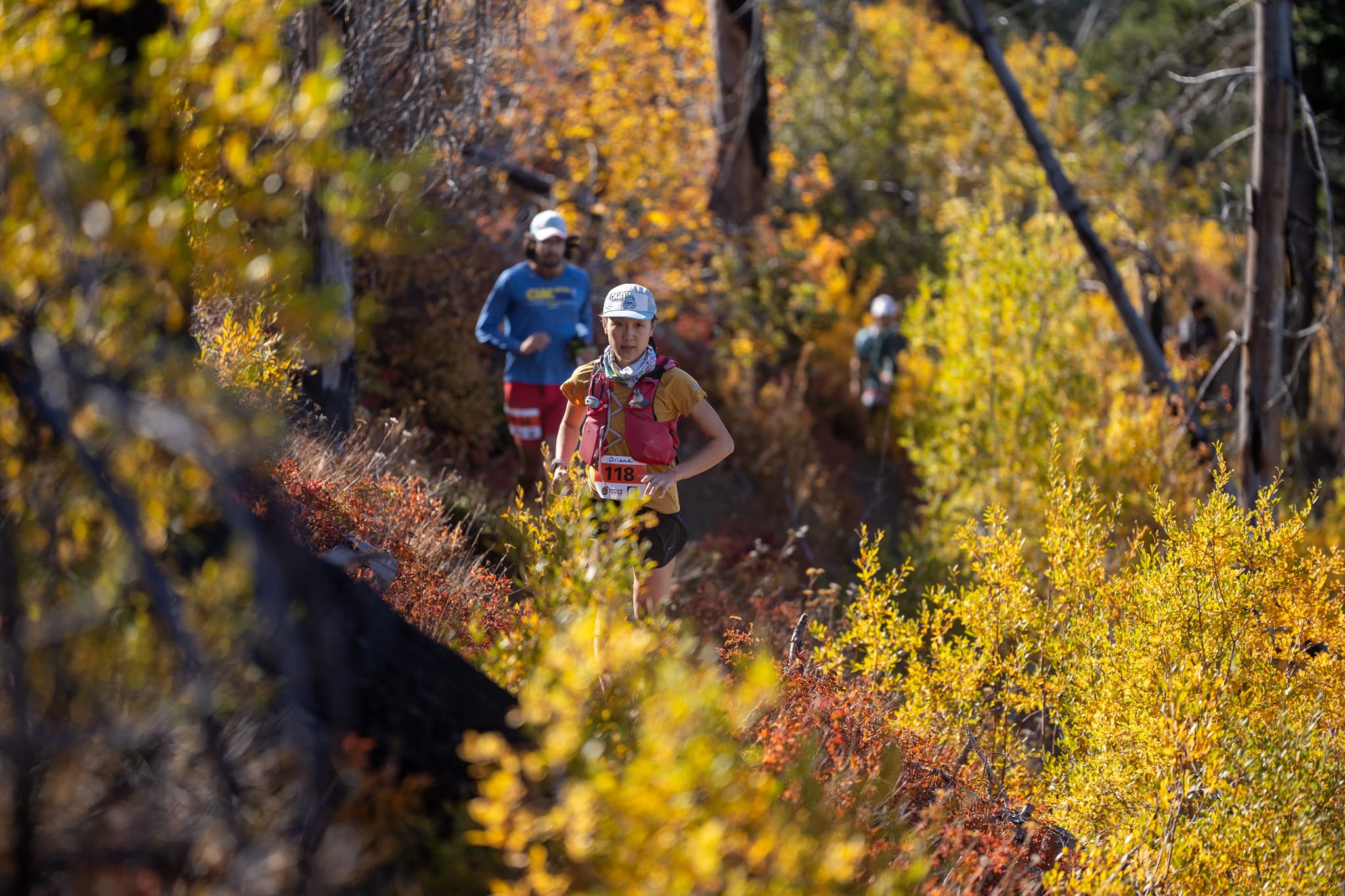 A sample of the glorious fall... - Walla Trails & Community