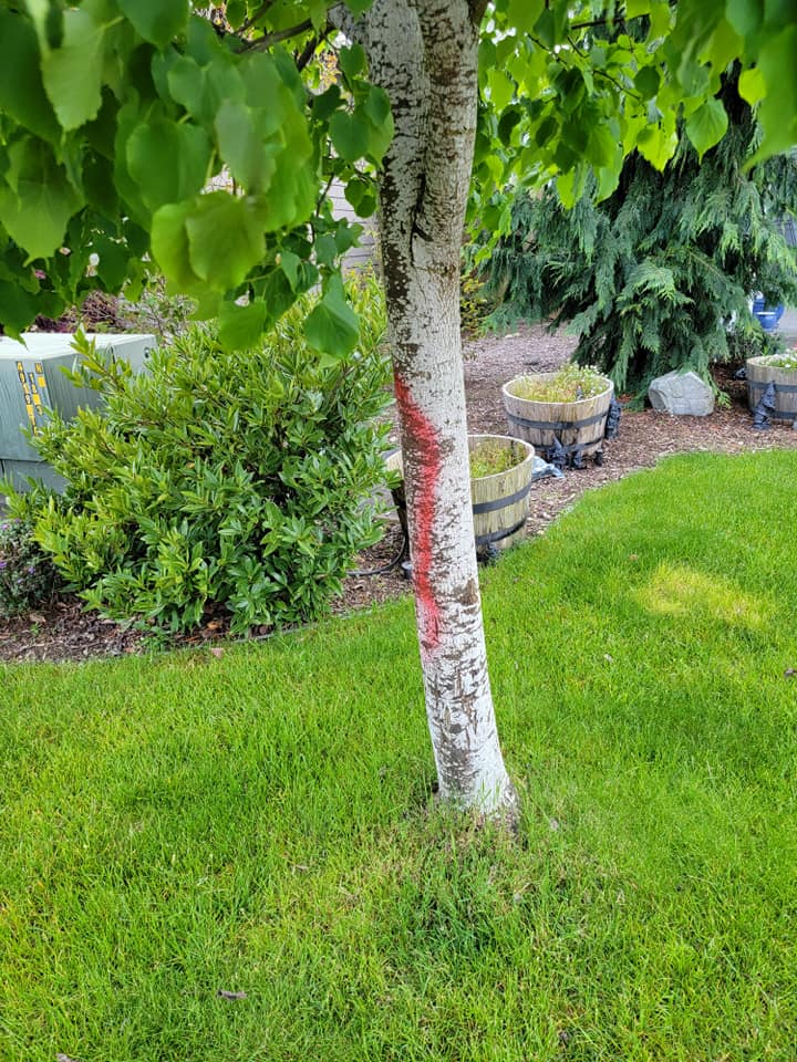 Brink Ranch Homeowners Association