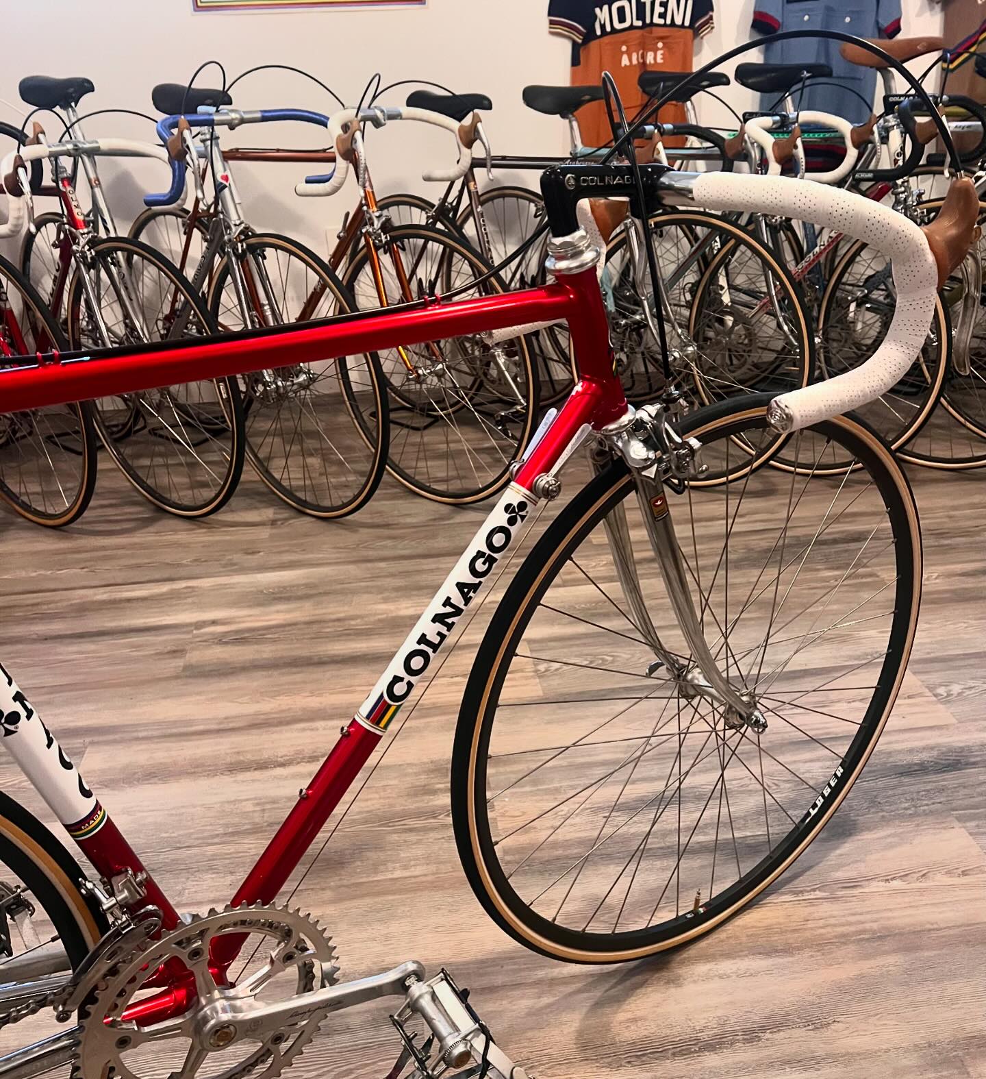 Castelli Del Tongo Colnago 1980s ビンテージ Castelli Del Tongo Colnago 1980s ビンテージ Del Tongo Colnago