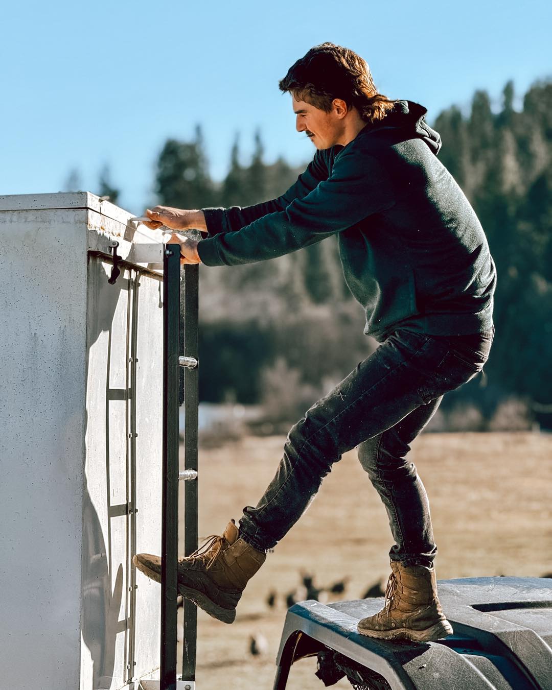 Rockside - Life on the ranch means hard work taking care of the animals ...