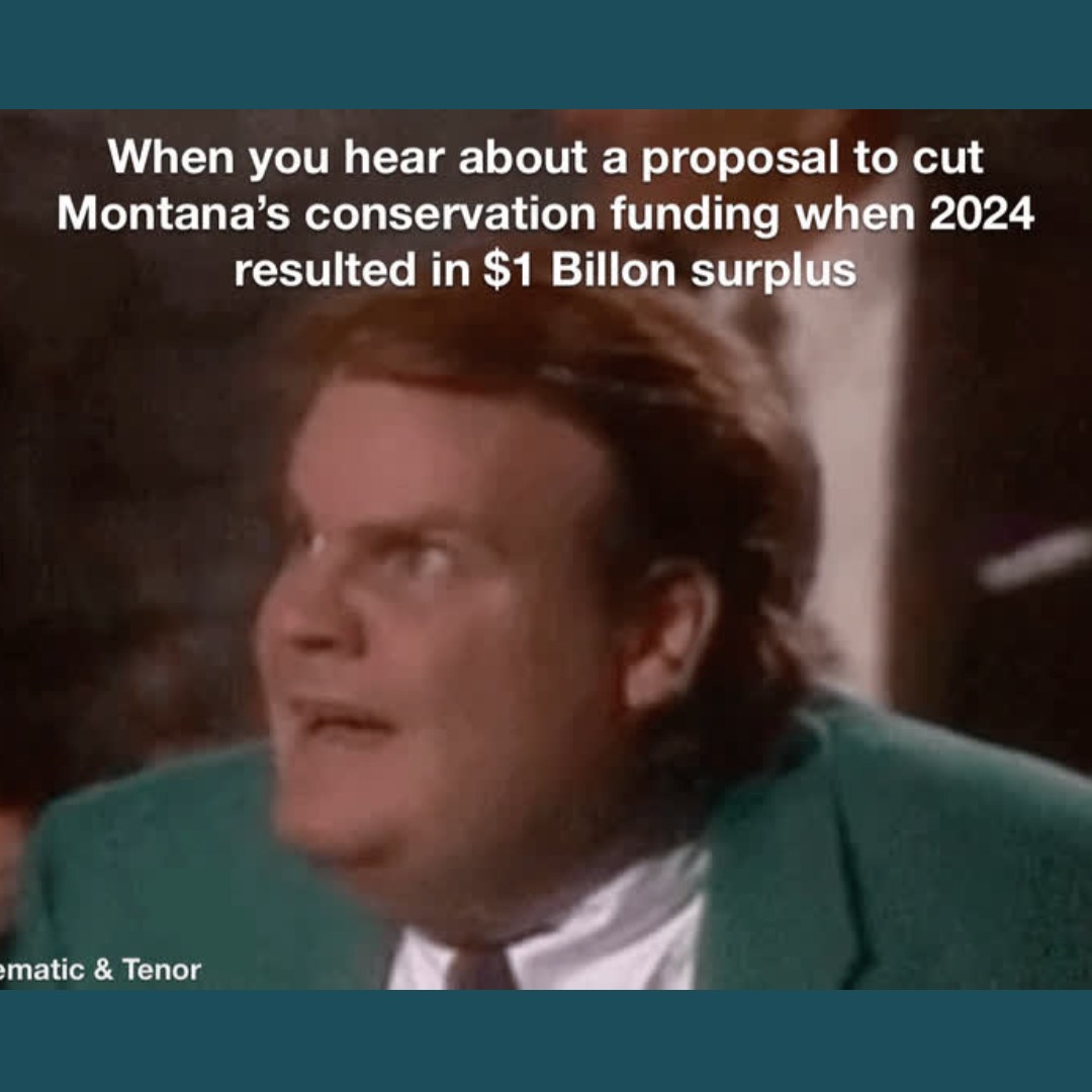 Wild montana wild montana added a new photo 