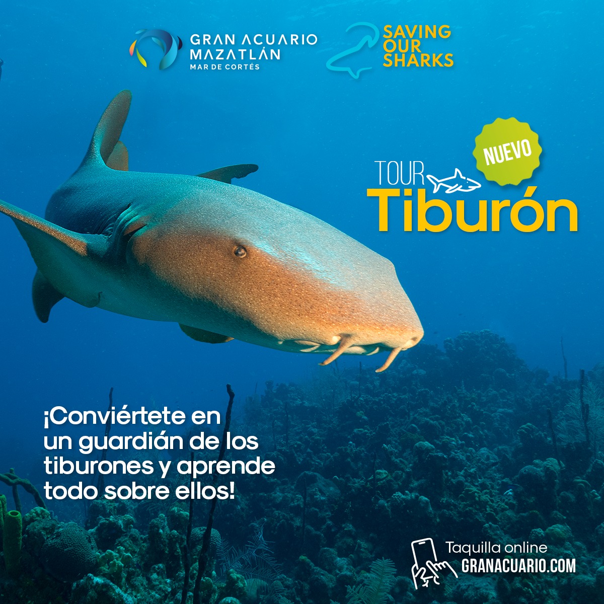 Gran - ¿Ya conoces el Tour Tiburón? 🦈 Conviértete en un SharkHero ...