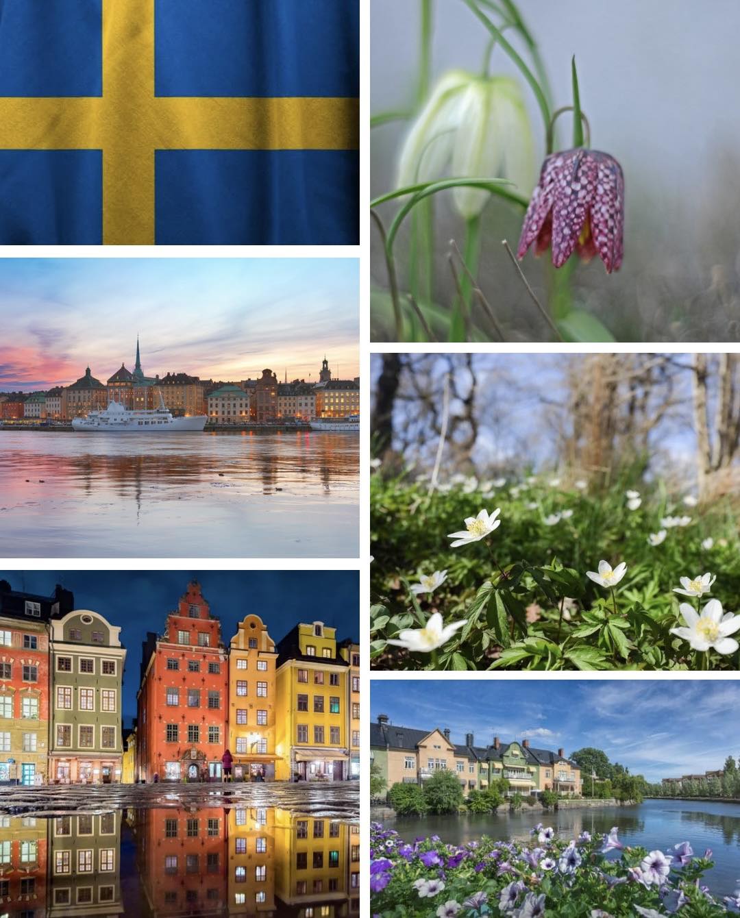 Swedish - Spring is in the air 🌷🇸🇪 | Facebook