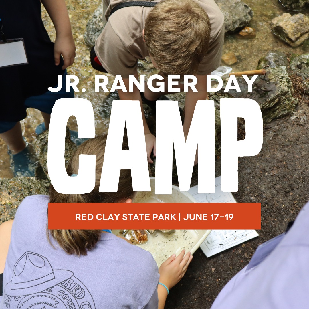 Red - ☀️ Calling all future park rangers! ☀️ Send your nature-loving ...