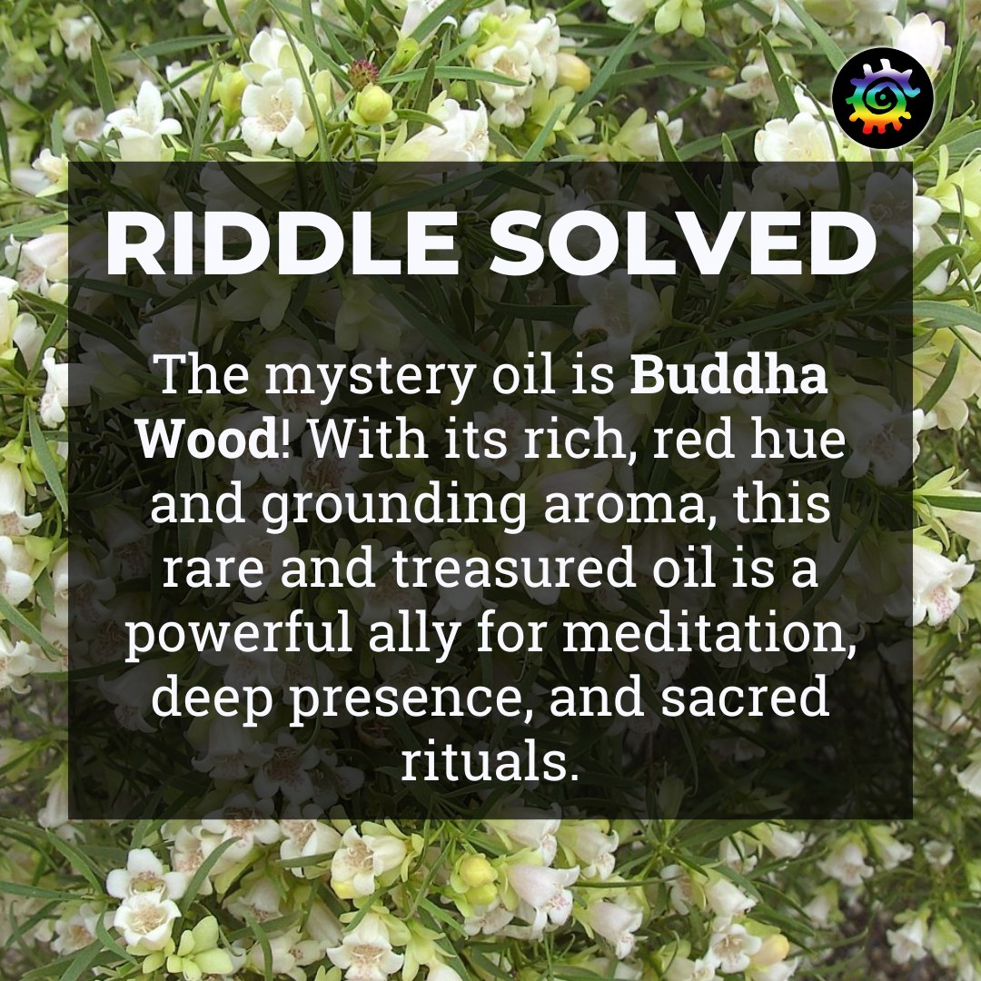 VirginiaJoy of Stillpoint - 🌿 Answer Reveal! 🌿 Buddha Wood—a rare and ...