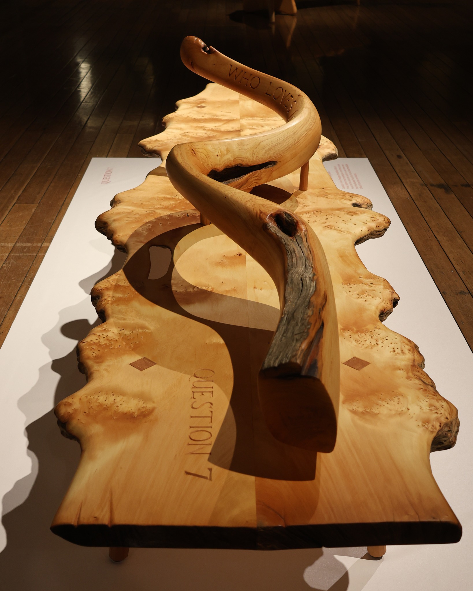Step into Central Gallery at TMAG and experience 