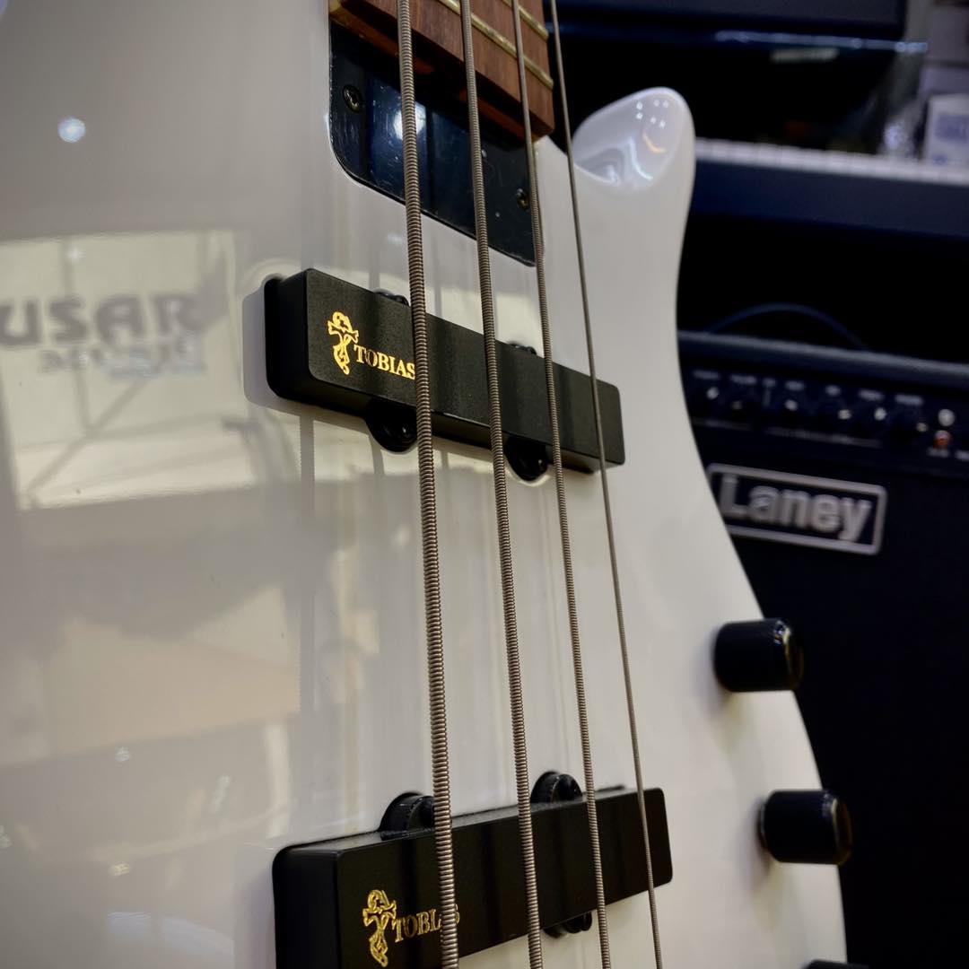 Epiphone Toby Tobias Standard IV ! Elevate your Low Tones with