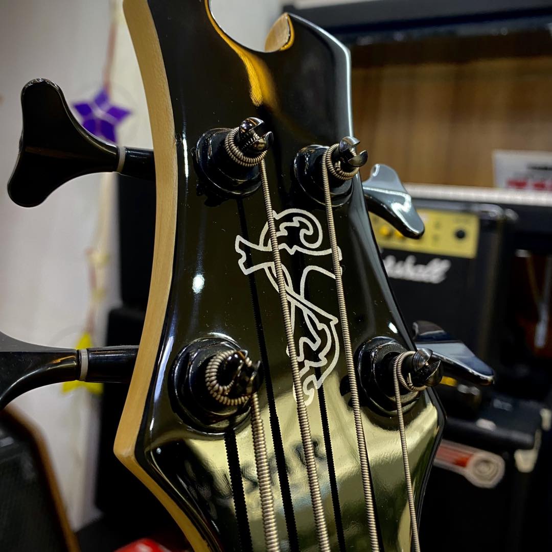 Epiphone Toby Tobias Standard IV ! Elevate your Low Tones with