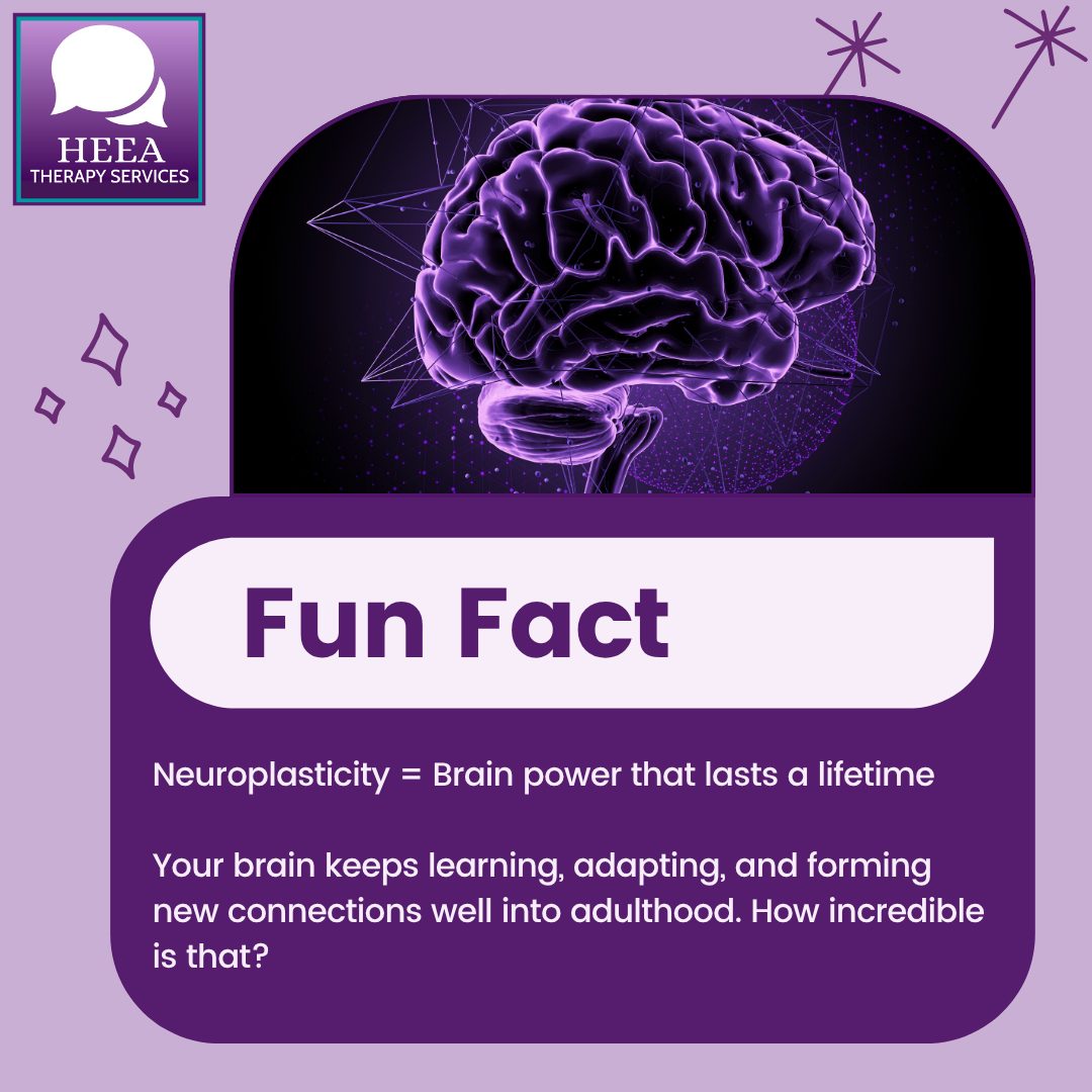 HEEA - 🧠 Fun Fact Friday – Your brain never stops growing! One of the ...