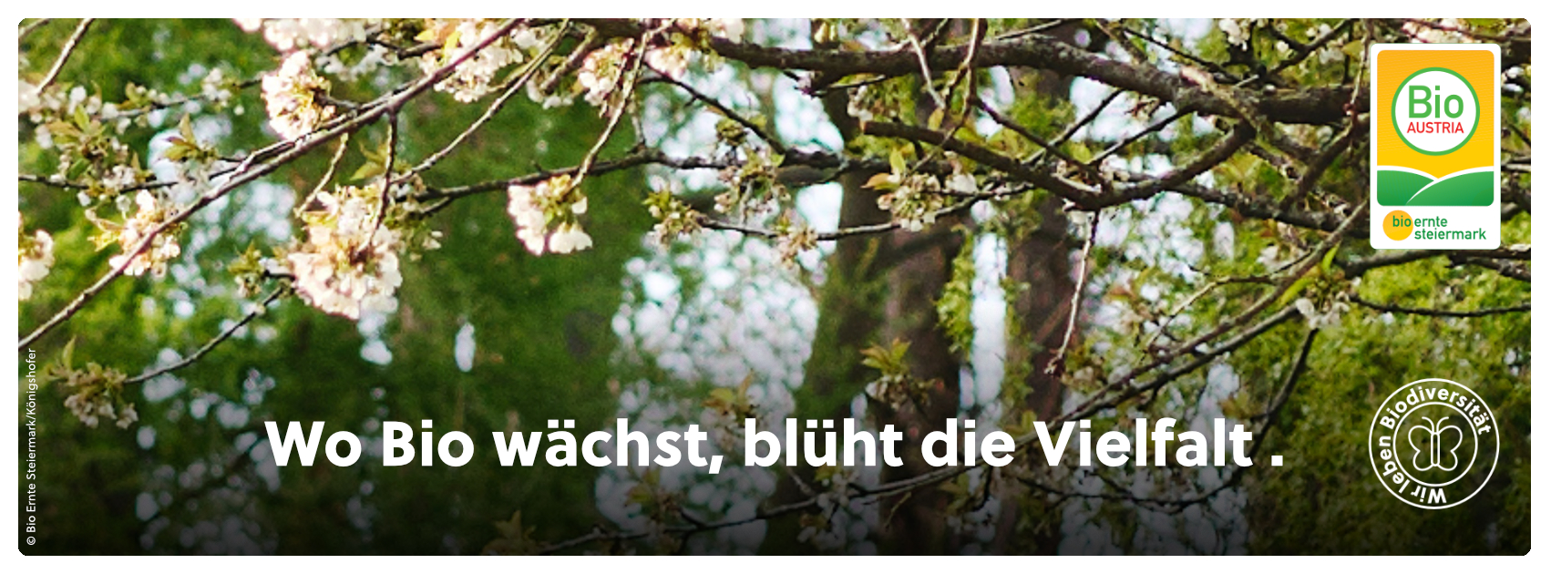 BIO AUSTRIA... - BIO AUSTRIA Niederösterreich und Wien