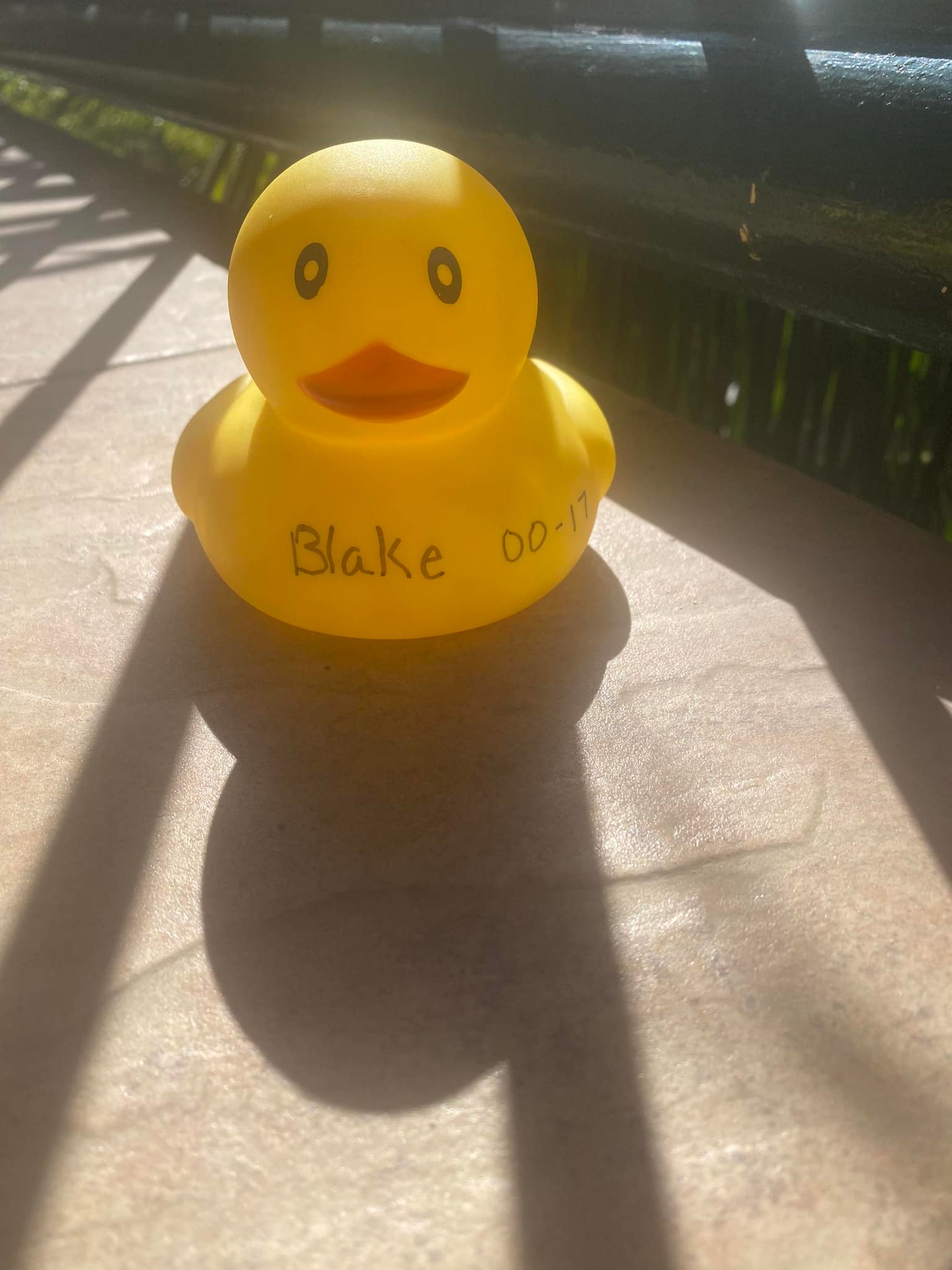 Rocks For Blake