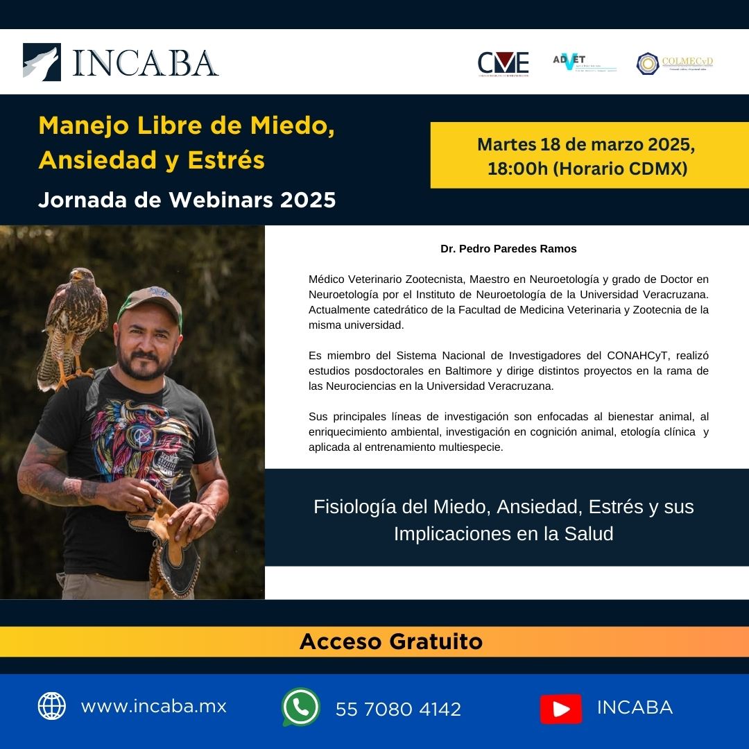 Incaba Servicios Profesionales | Iztacalco