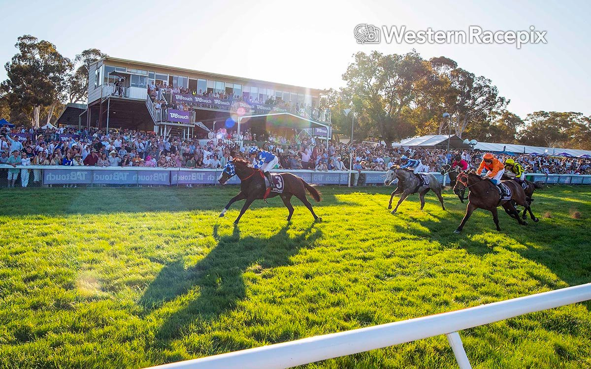 Toodyay Race Club | Toodyay WA