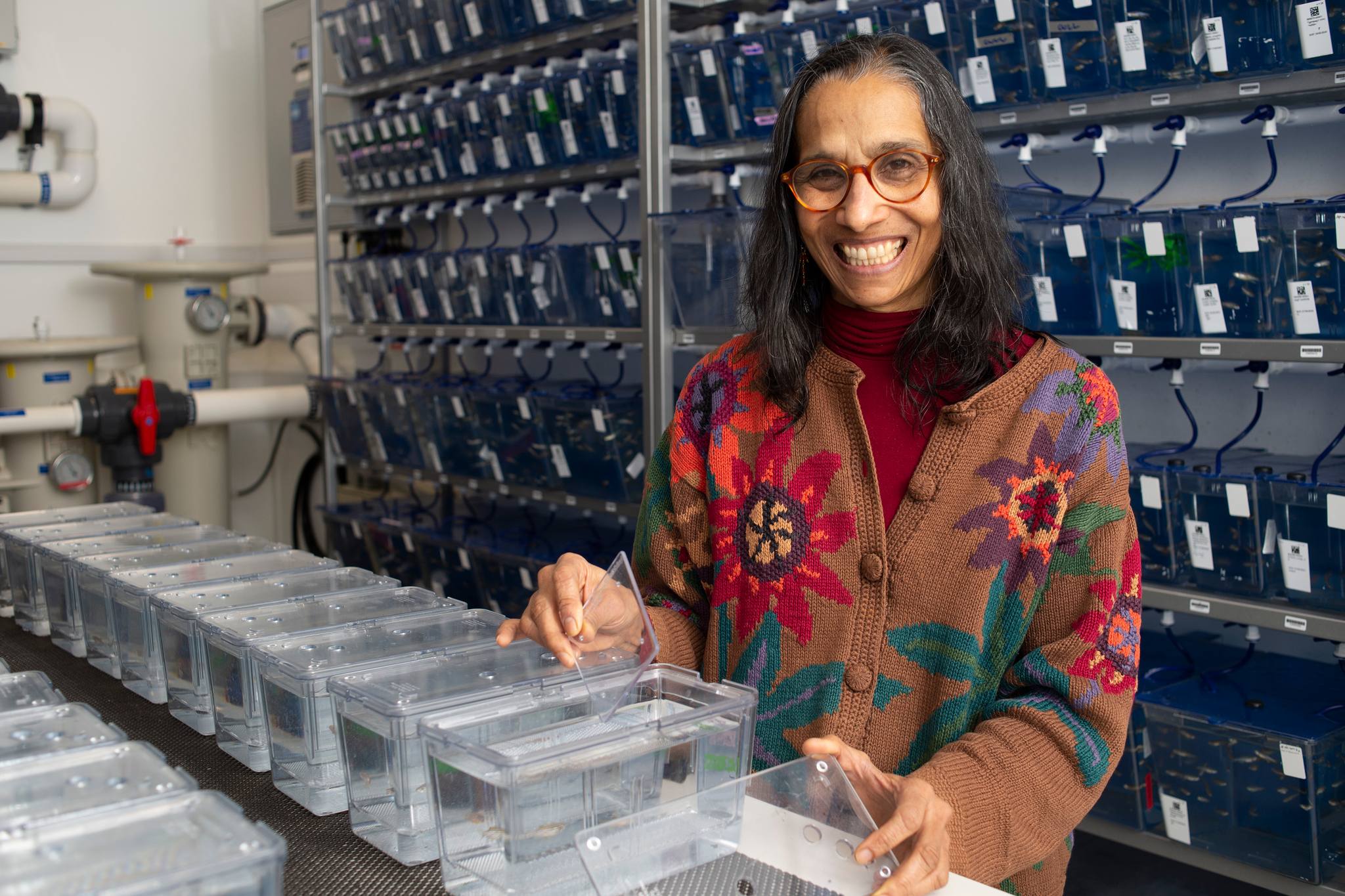 The sister of... - Structural Biology Laboratory - Elettra | Facebook