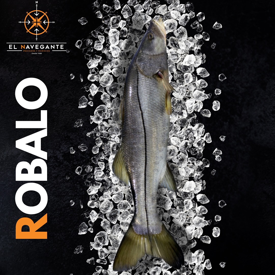 El Navegante - El robalo, un aliado para tu salud. No... | Facebook