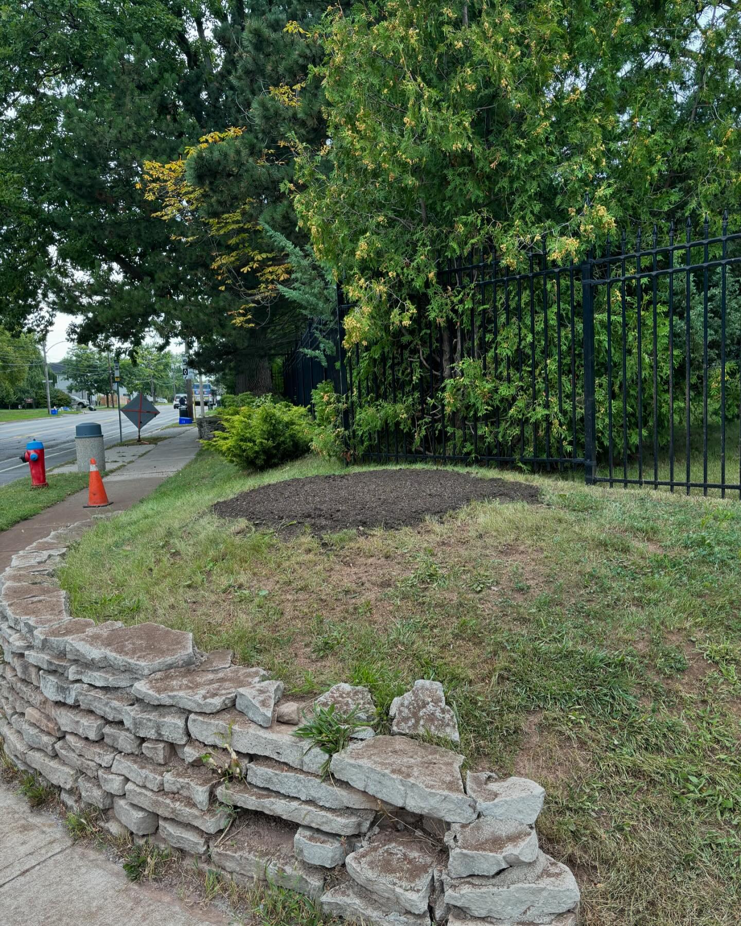 Maple Hill Tree Services | Burlington ON
