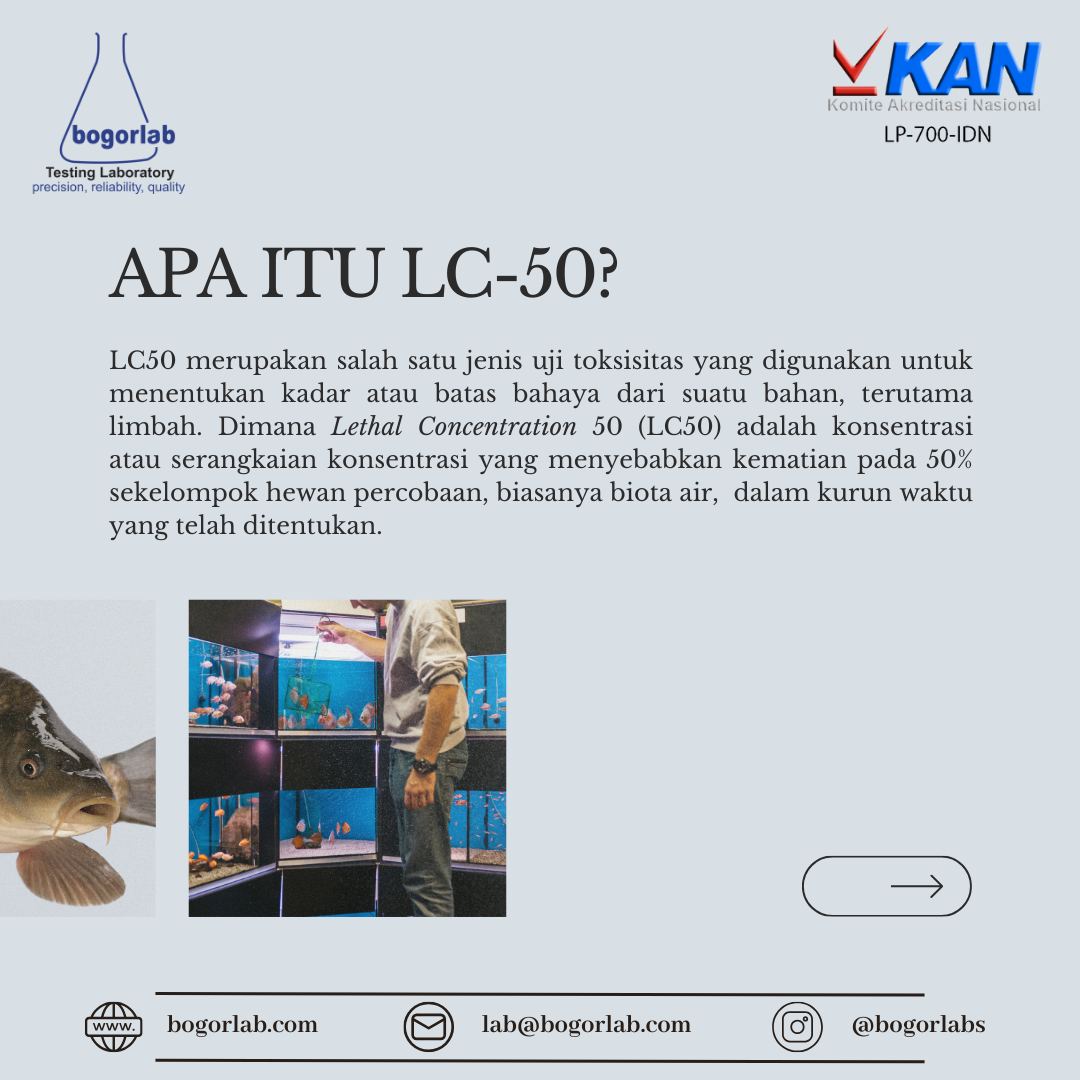 Bogor Labs | Bogor