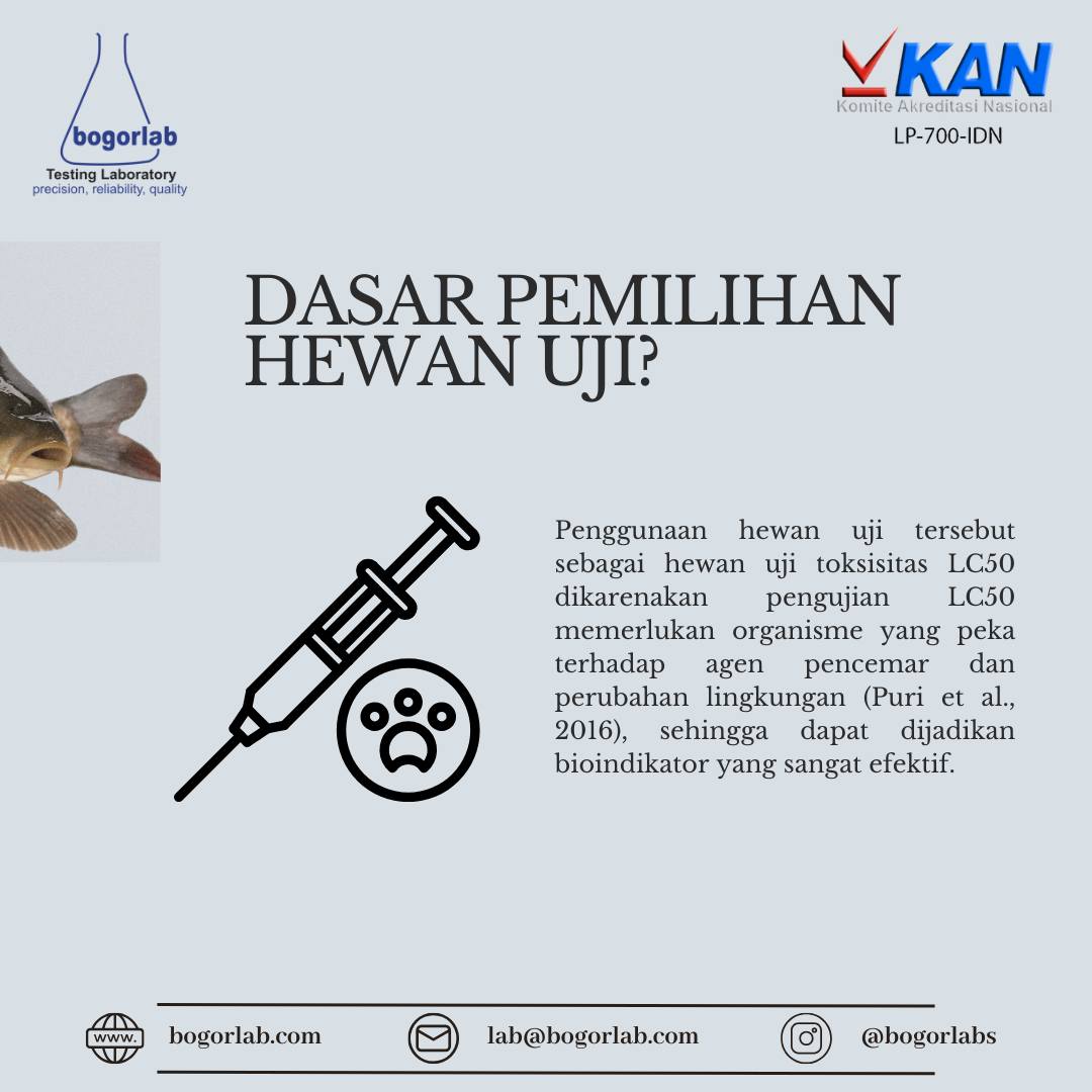 Bogor Labs | Bogor
