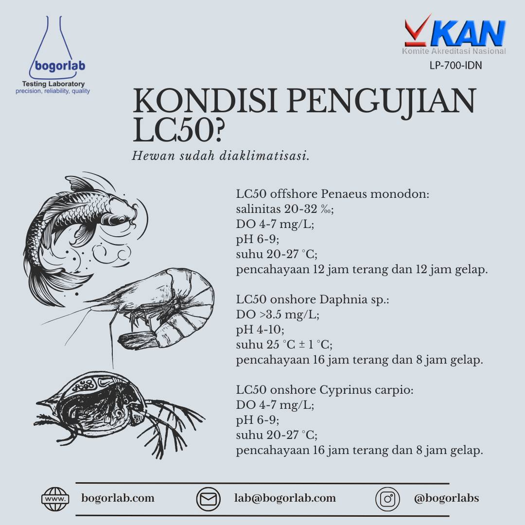 Bogor Labs | Bogor