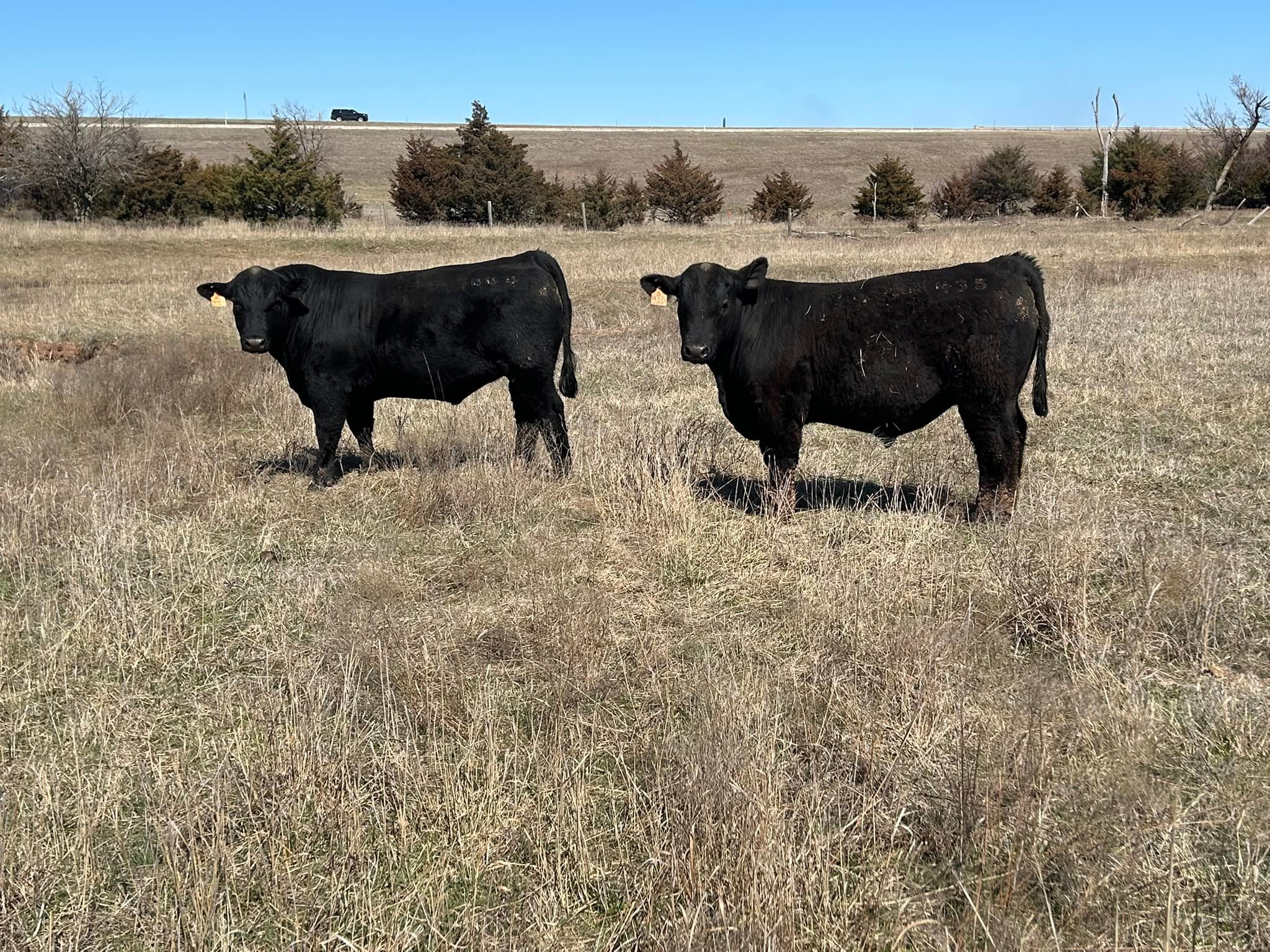 Rupp Ranch | Perry OK