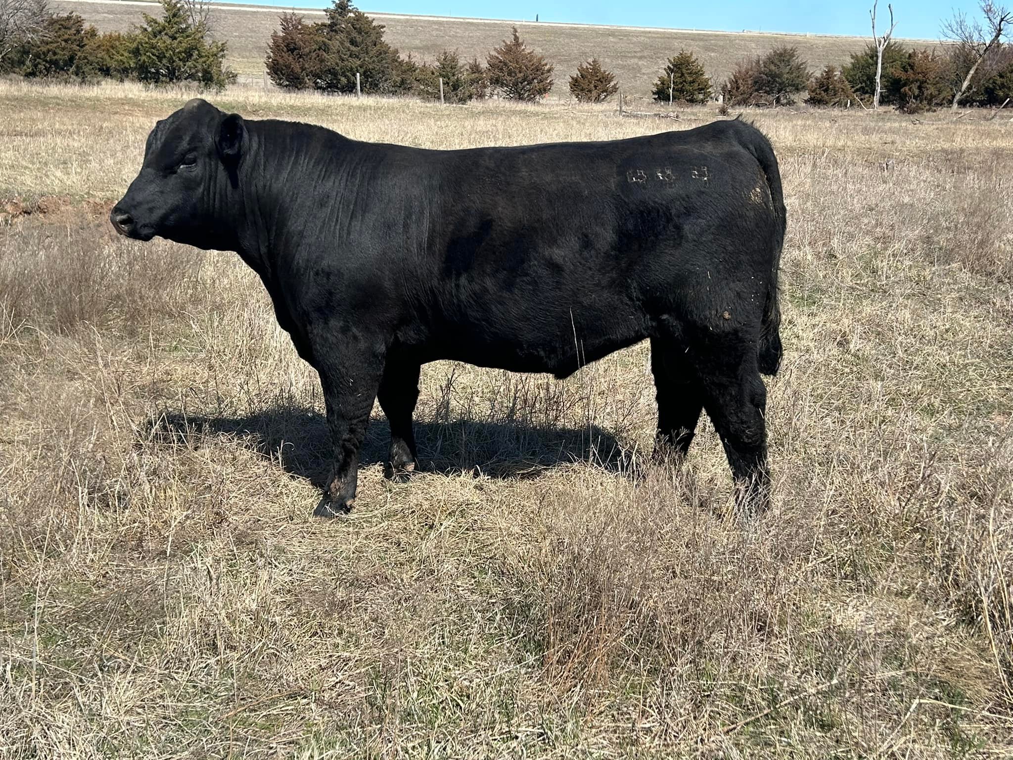 Rupp Ranch | Perry OK