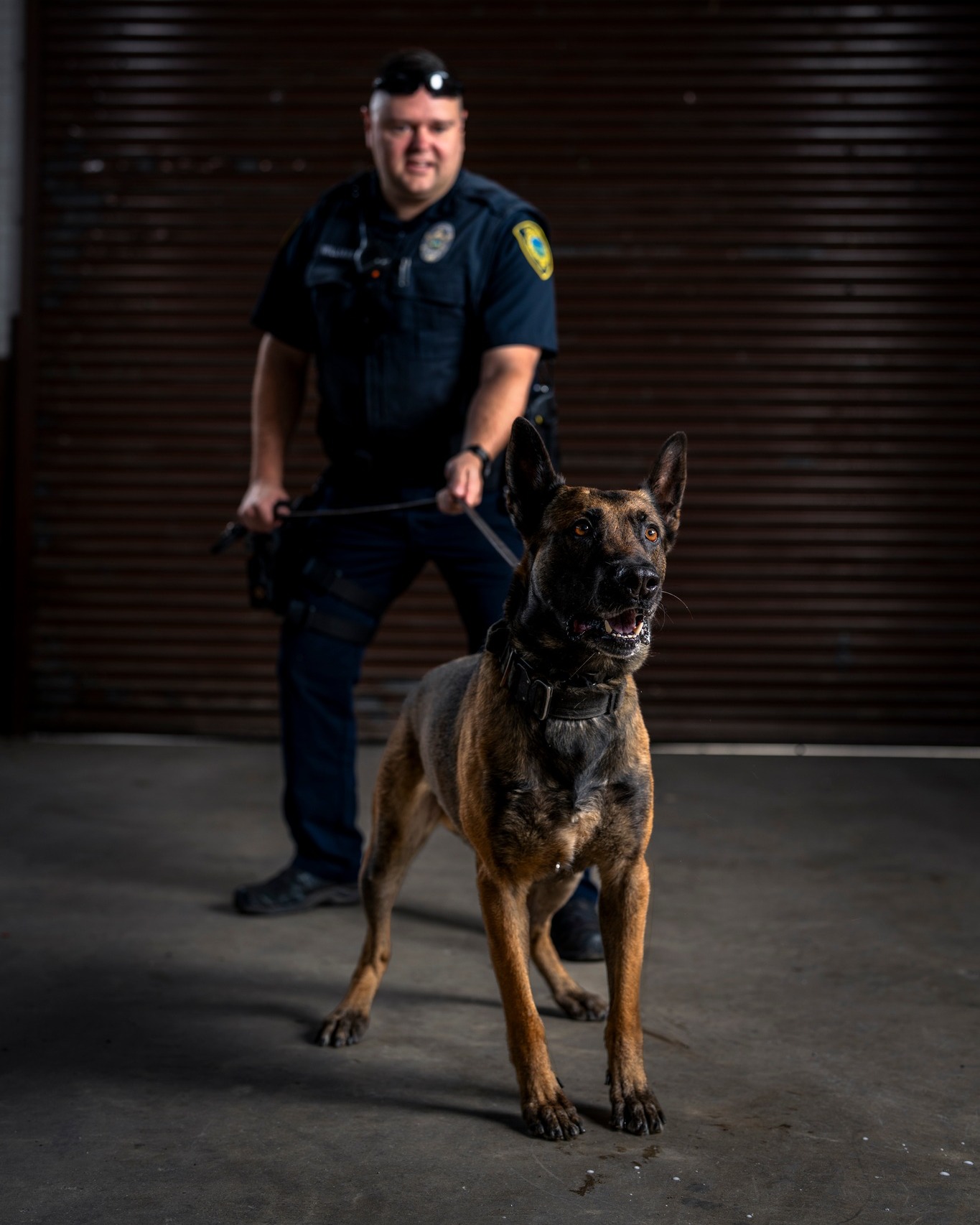 Asheville - K9 Officer: Django Handler: Senior Police Officer Doug ...