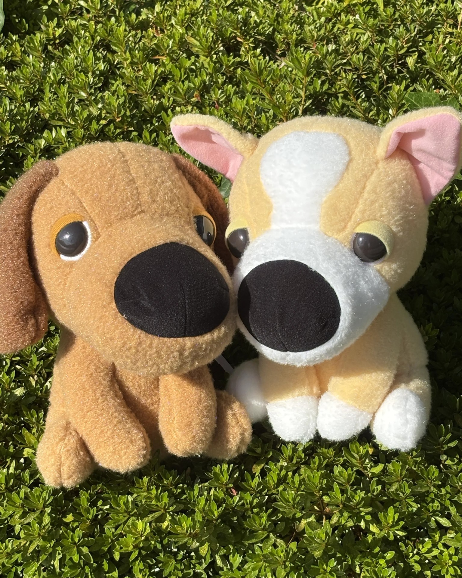 THE DOG AND FRIENDSの手のひらサイズの ぬいぐるみマスコットが 小売