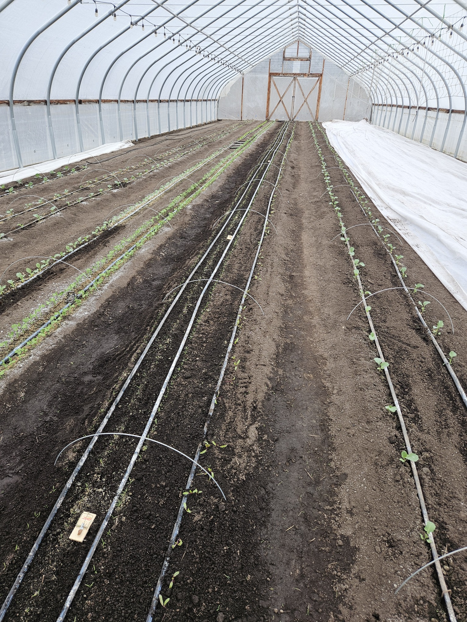 Fresh Cut Farms | Deer Park WA