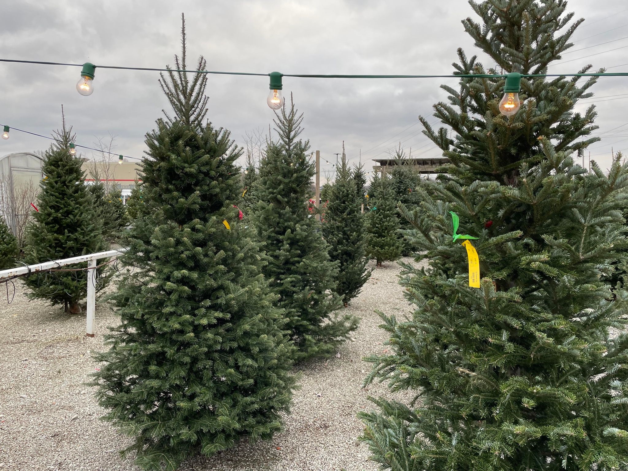 Kurtz Bros Mulch & Soils