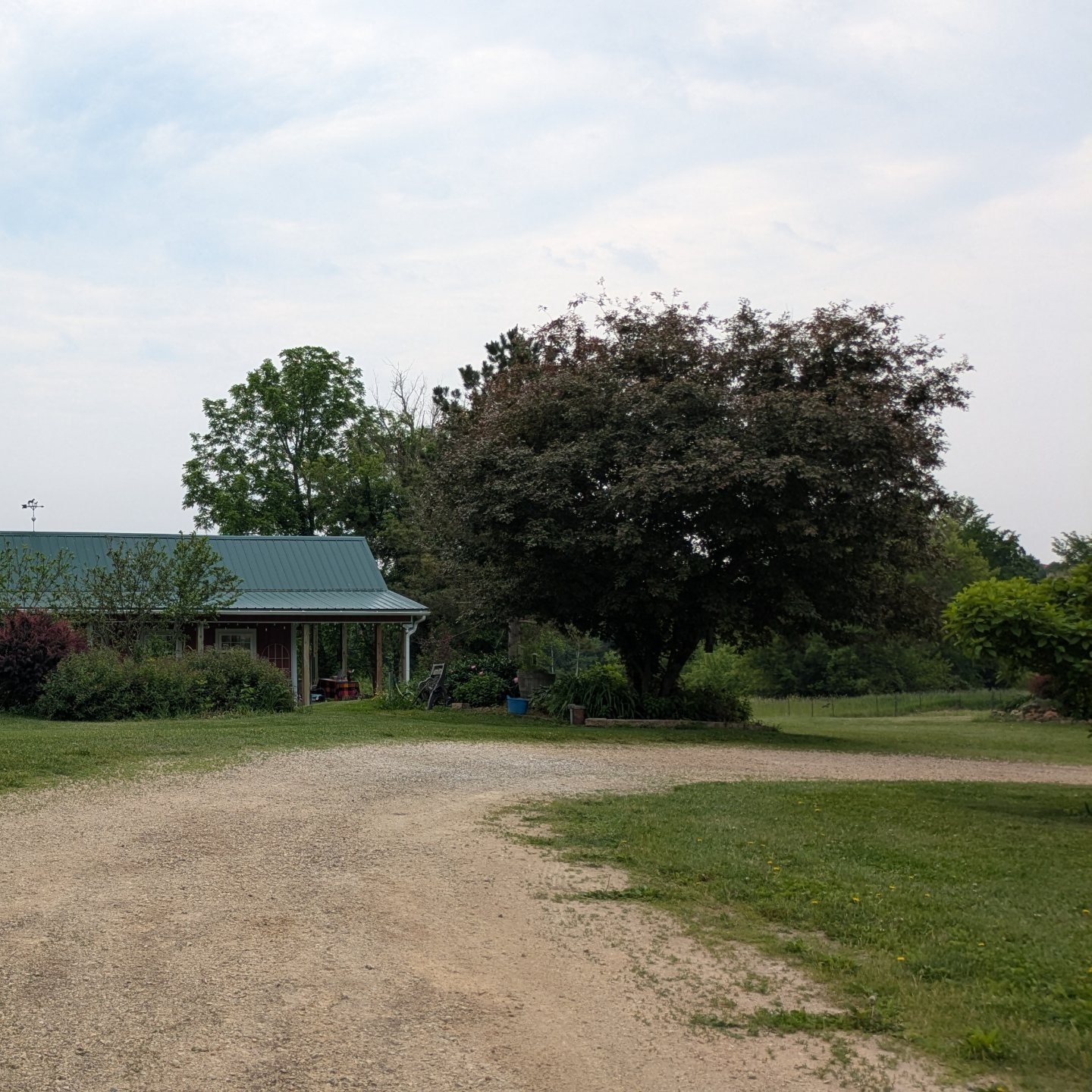 Viewpoint Farm Fibers
