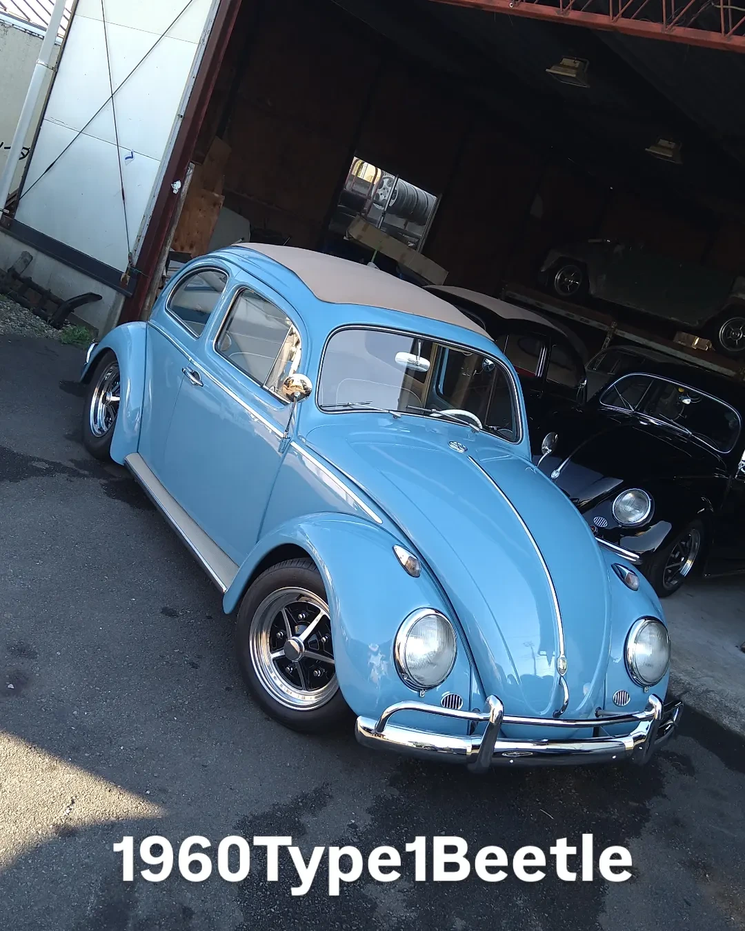 空冷vw キャンパストップ マヌエルトップ
