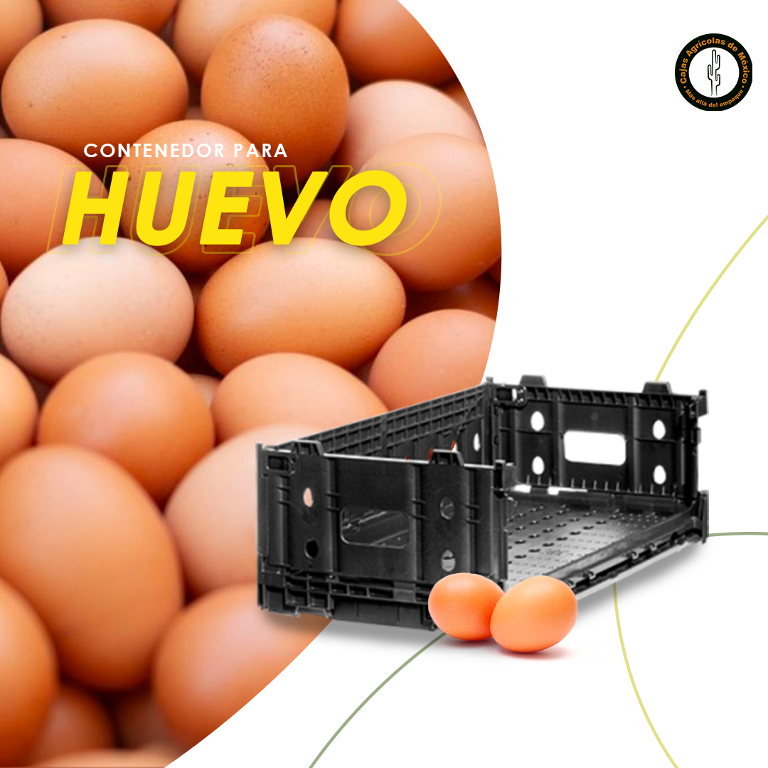 Cajas - Los contenedores reusables RPCs son ideales para transportar ...