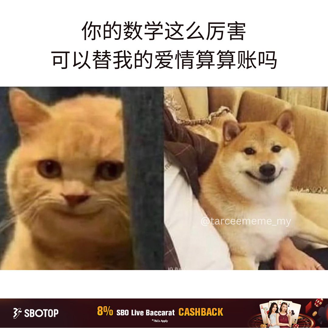 Tarcee Meme - 蜡笔小新看太多🦭 . IG: imbeingfunny.official . . #梗...