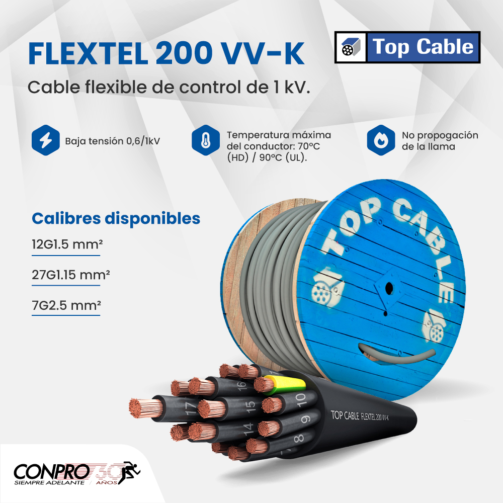 Controles y Proyectos,... - Controles y Proyectos, S.A.