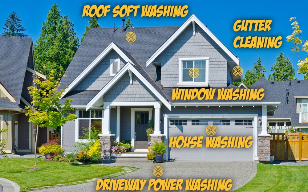 Chicago Racoons - Window & Power Washing | Chicago IL