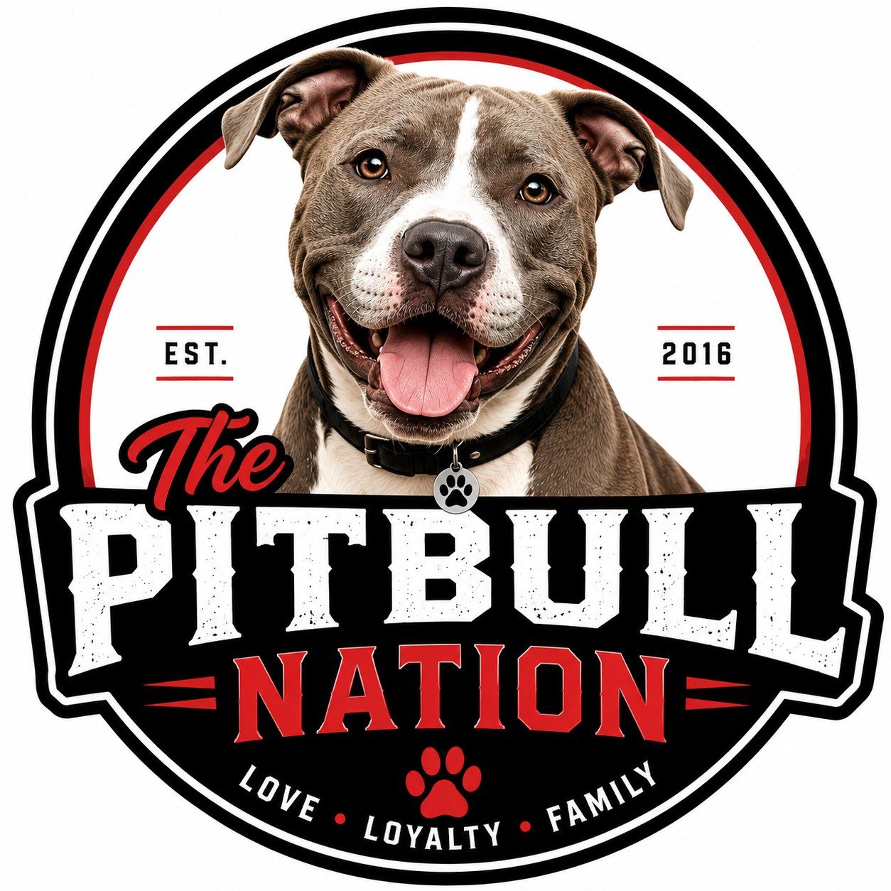 Fearless. Dangerous. Terrified of one puddle. 💦🐾 Does your pitbull jump ...