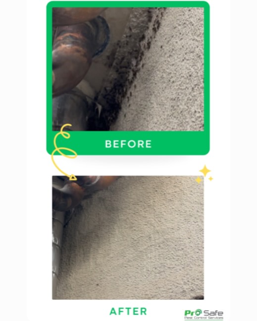 Prosafe Pest Control Services Pty Ltd | Merrylands NSW