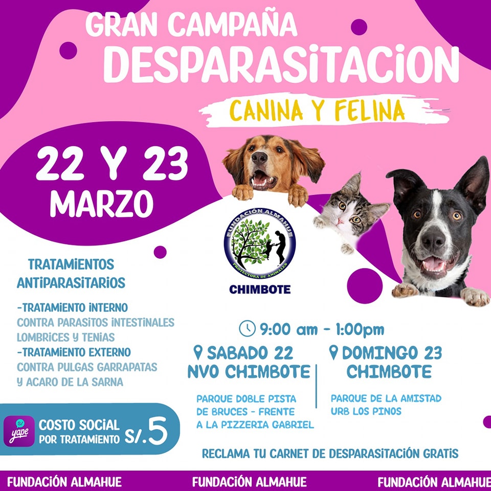 Fundación - 💉CAMPAÑA DE DESPARASITACIÓN PARA PERROS Y GATOS🐕🐈 📌ES ...