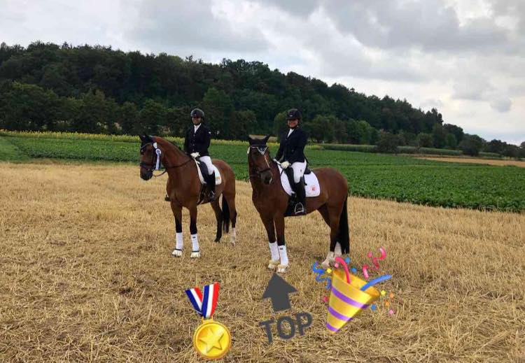 My Horse Diary ღ... - My Horse Diary ღ Springi & Horst ღ