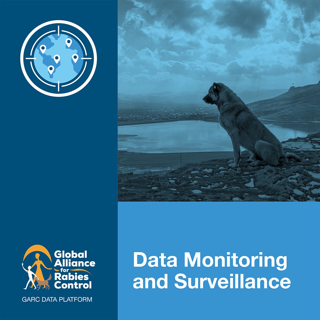 Global - 📊 Introducing the GARC Data Platform! 🐾🚀 Need a free, easy-to ...