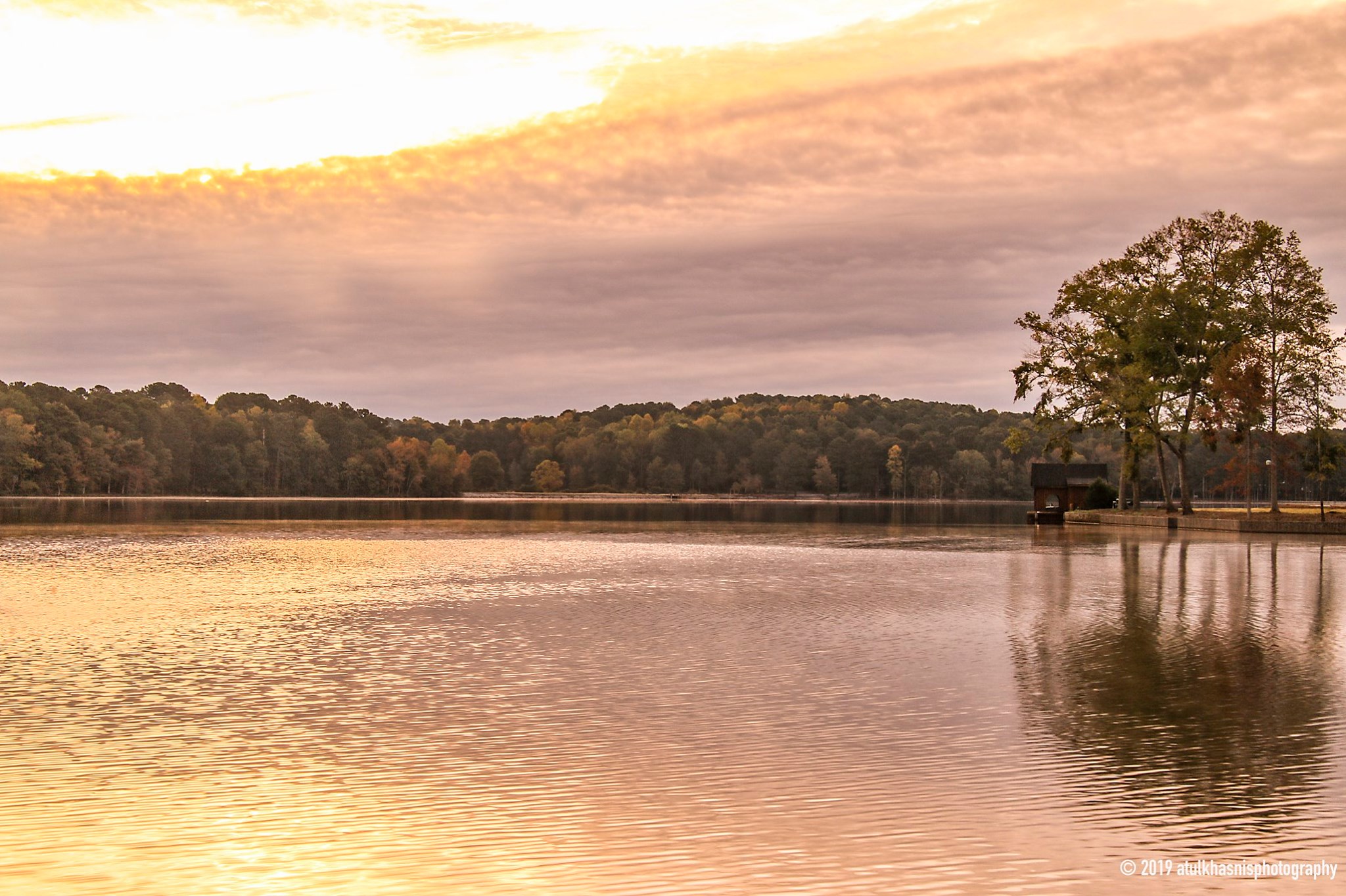 Peachtree City Through My Lens - Home