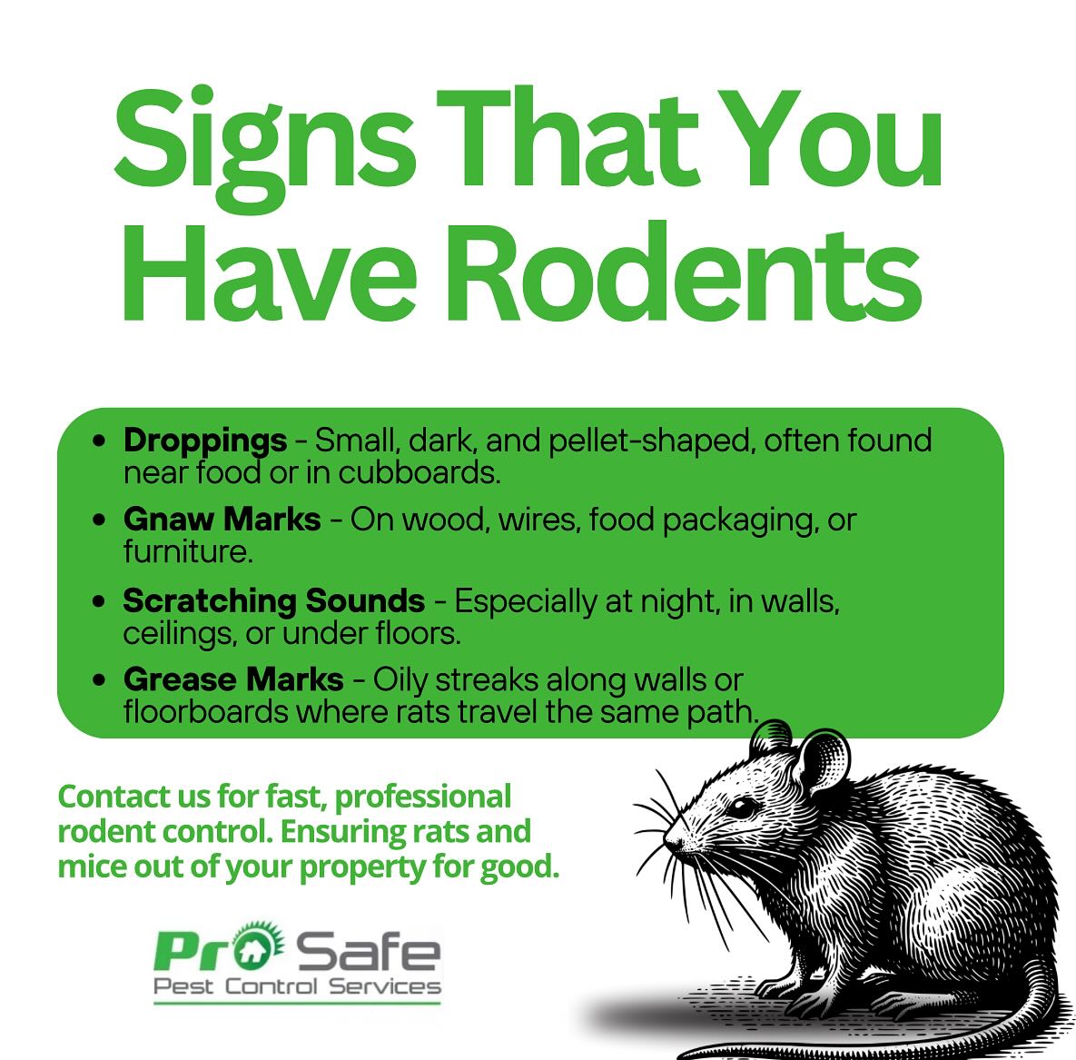 Prosafe Pest Control Services Pty Ltd | Merrylands NSW