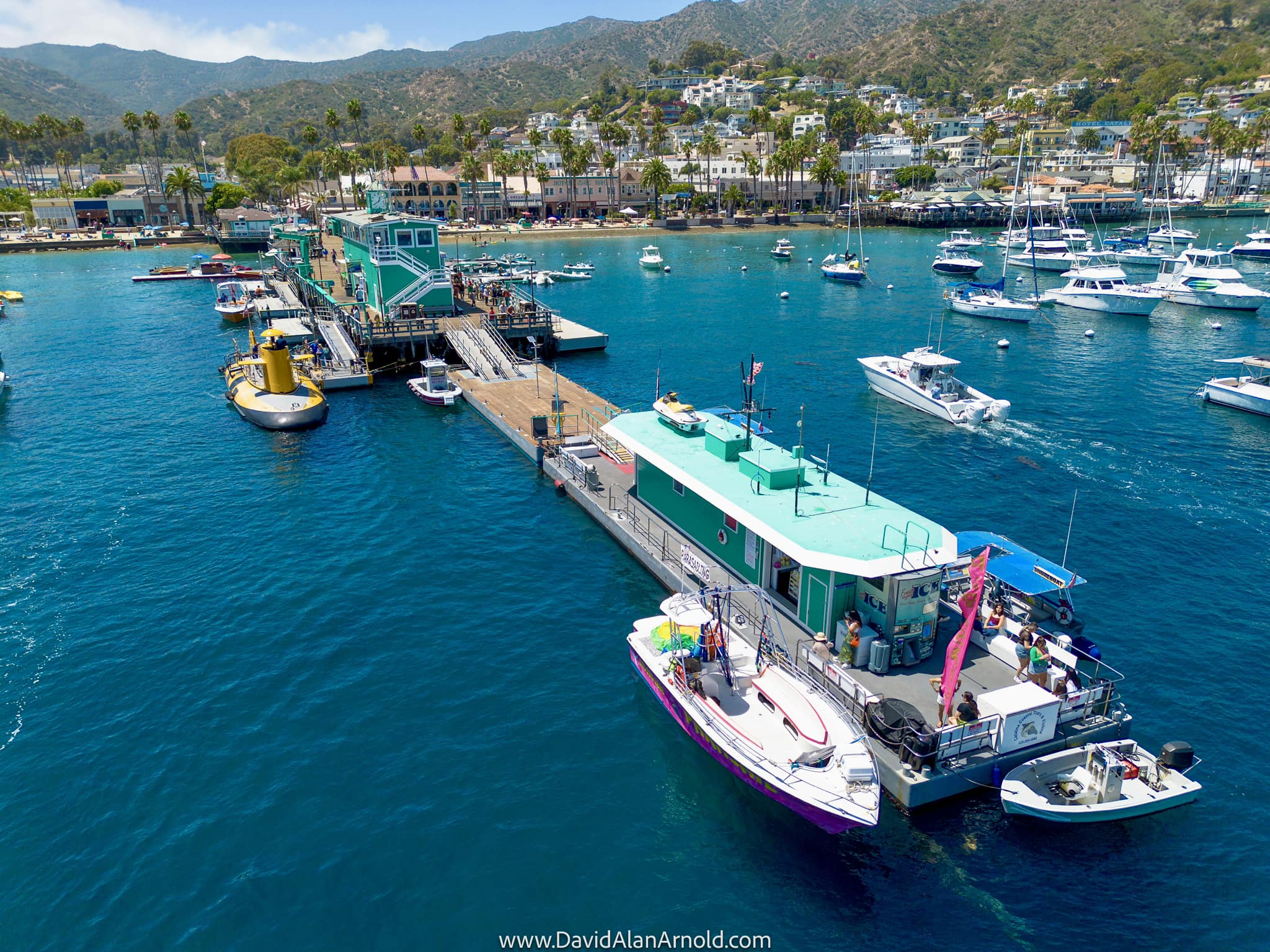 catalina express fishing poles ROGEZAC ISLAND CHARTER- DEPOSIT ONLY  Rogezac Sportfishing Catalina Island sportfishing adventure with