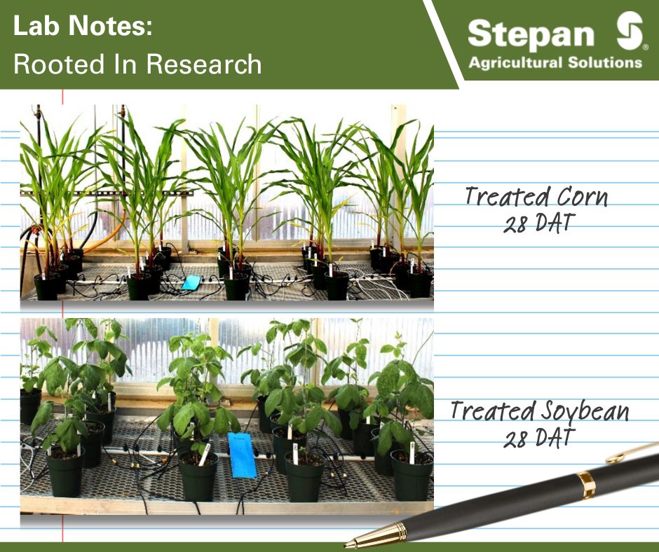 Stepan - Lab Notes: Will it burn the crop? It’s a key question when ...