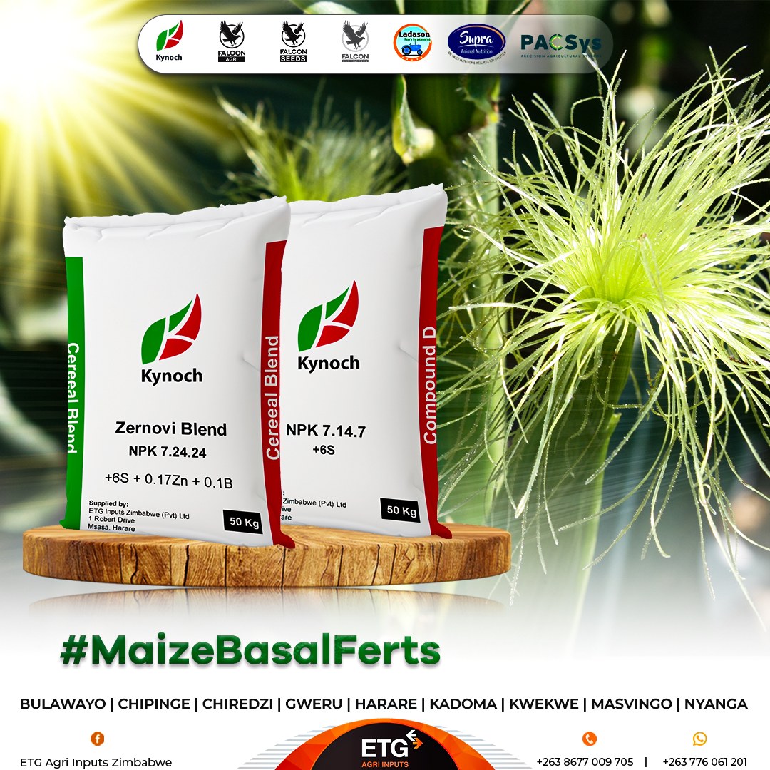 ETG - 🌱 Basal Fertilisers for Maize 🌽 Boost your maize production with ...